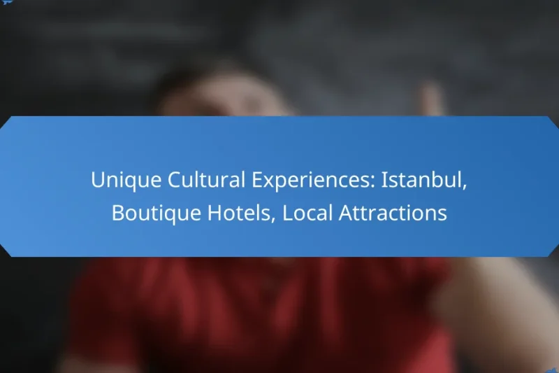 Unique Cultural Experiences: Istanbul, Boutique Hotels, Local Attractions