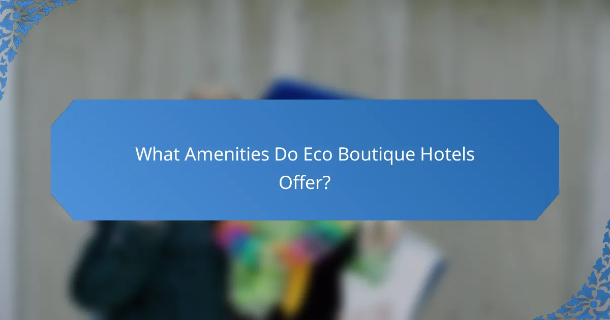 What Amenities Do Eco Boutique Hotels Offer?