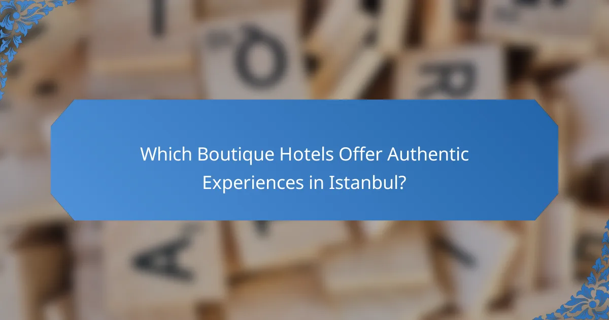 Which Boutique Hotels Offer Authentic Experiences in Istanbul?